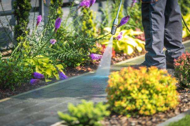 Best Dumpster Area Cleaning  in Williston, FL