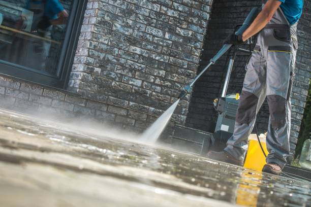 Best House Exterior Washing  in Williston, FL