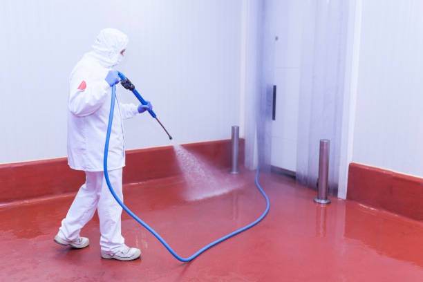 Best Patio and Deck Pressure Washing  in Williston, FL