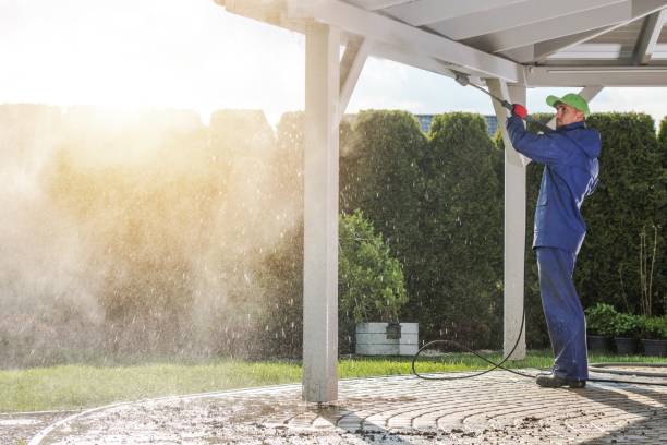 Best Building Exterior Washing  in Williston, FL